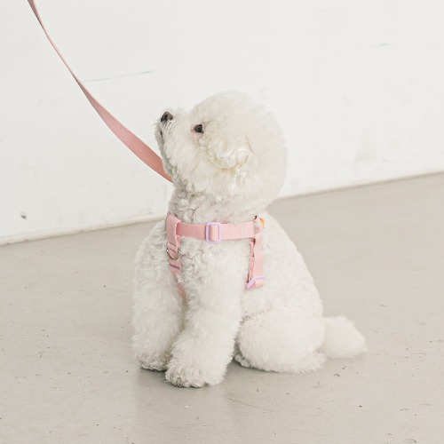 Candy Crayon Harness